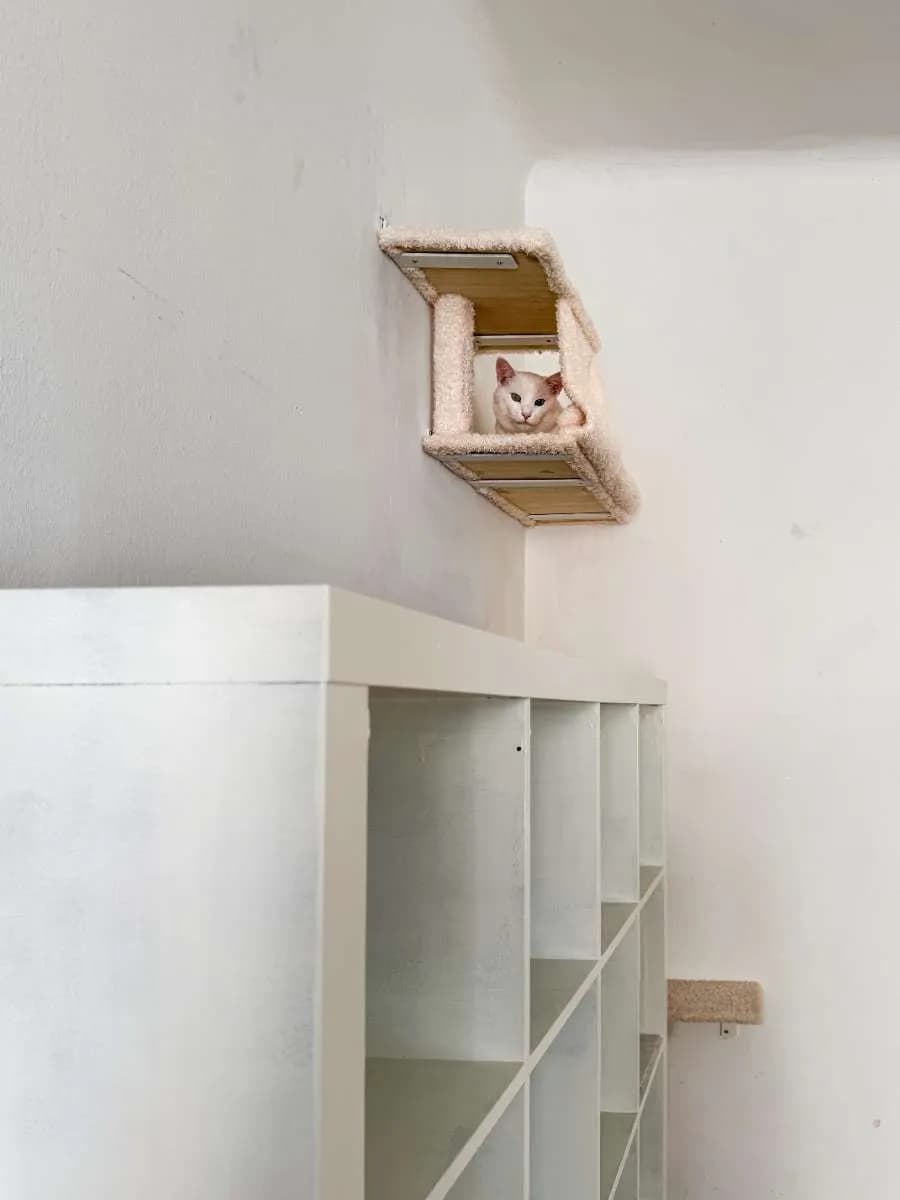 2-Zimmer-Wohnung mieten in Wien – 25 m², € 620 – Bild 10 von 26