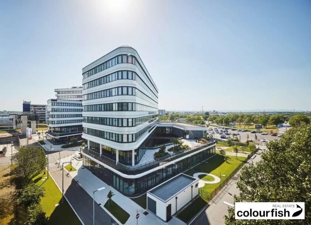 Gewerbeimmobilie mieten in Bruck an der Leitha – 508 m², € 11.016 – Bild 3 von 20