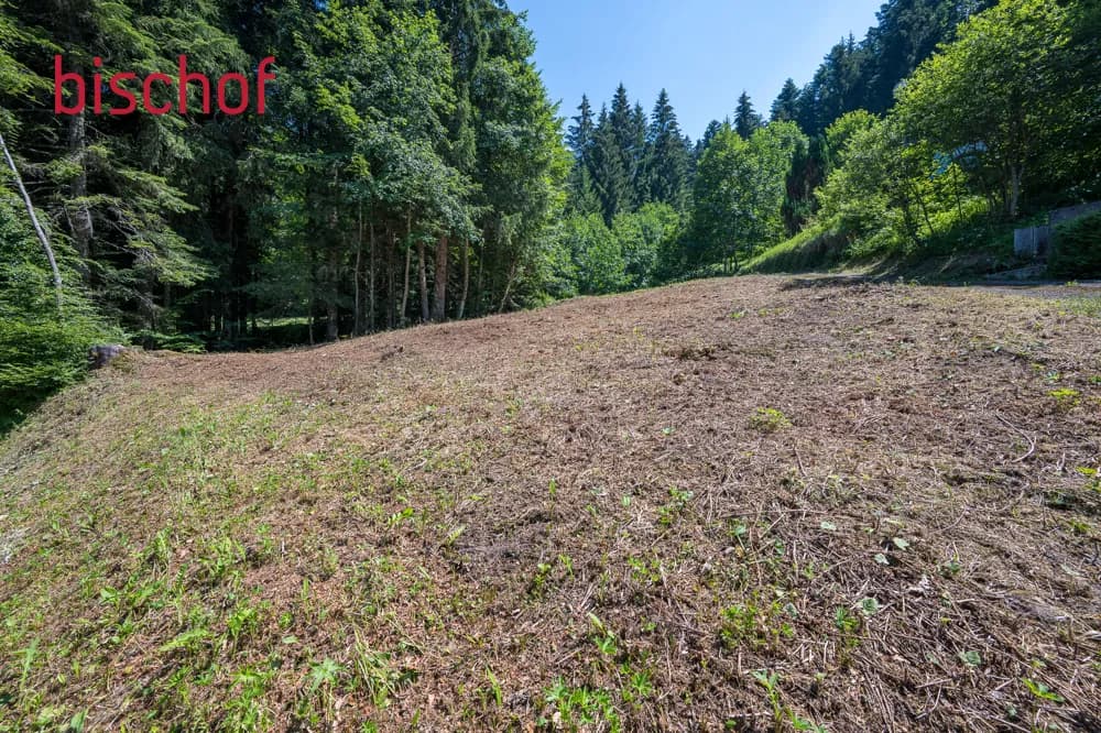 Grundstück kaufen in Bregenz – 609 m², € 220.000