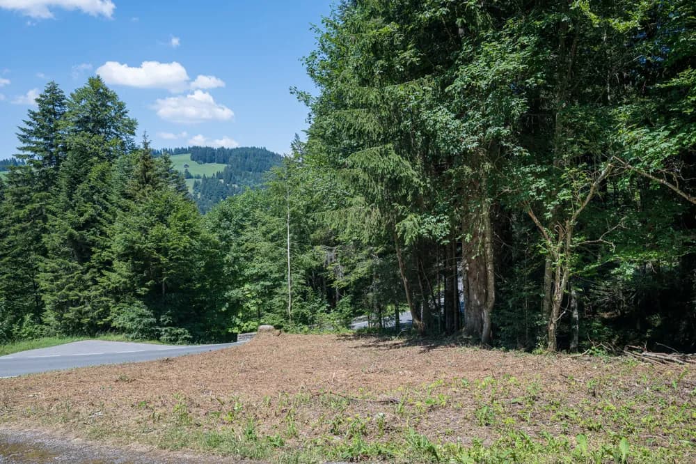 Grundstück kaufen in Bregenz – 609 m², € 220.000 – Bild 3 von 5