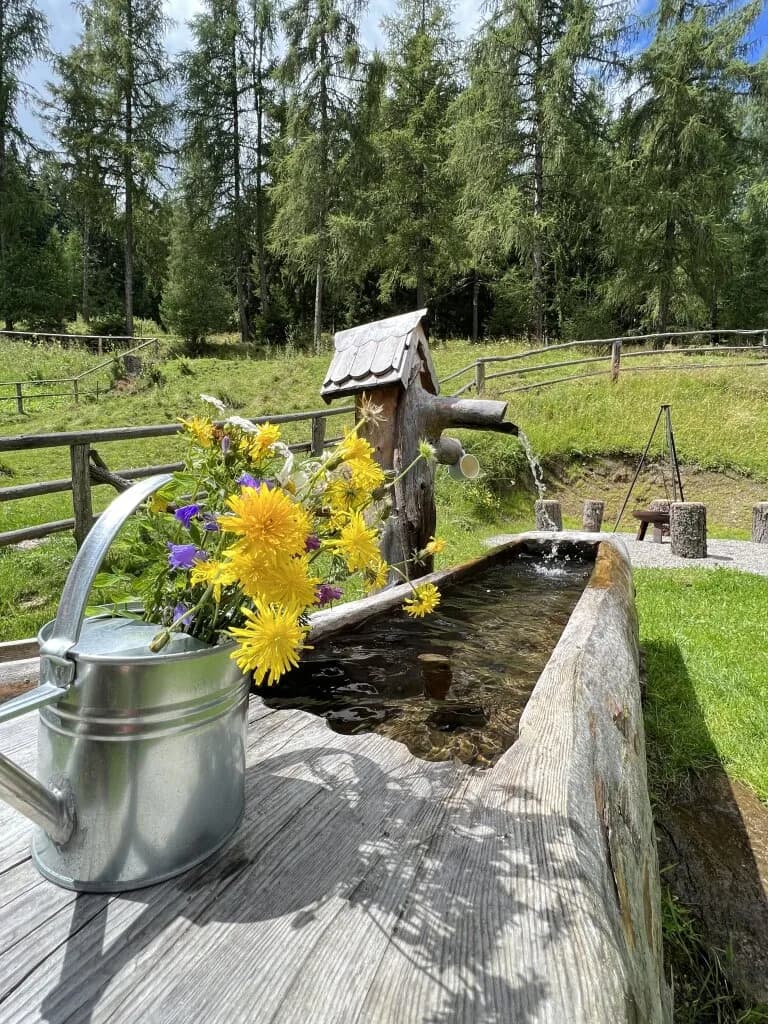 Immobilie mieten in Murtal – 100 m² – Bild 13 von 15