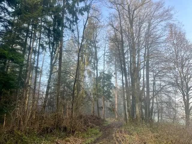 Grundstück kaufen in Deutschlandsberg – 3 433 m², € 280.000 – Bild 4 von 8