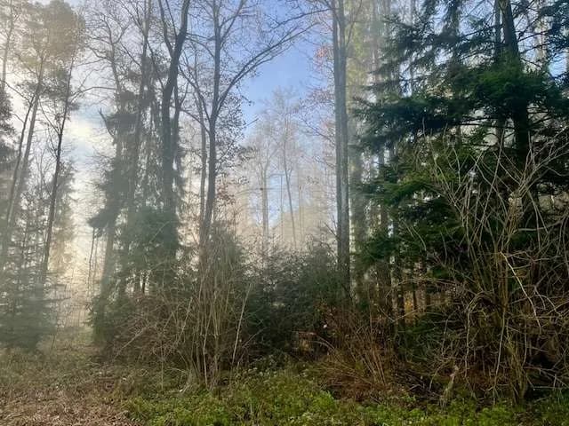 Grundstück kaufen in Deutschlandsberg – 3 433 m², € 280.000 – Bild 5 von 8