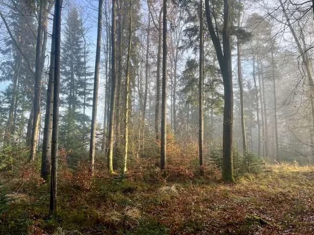 Grundstück kaufen in Deutschlandsberg – 3 433 m², € 280.000 – Bild 7 von 8
