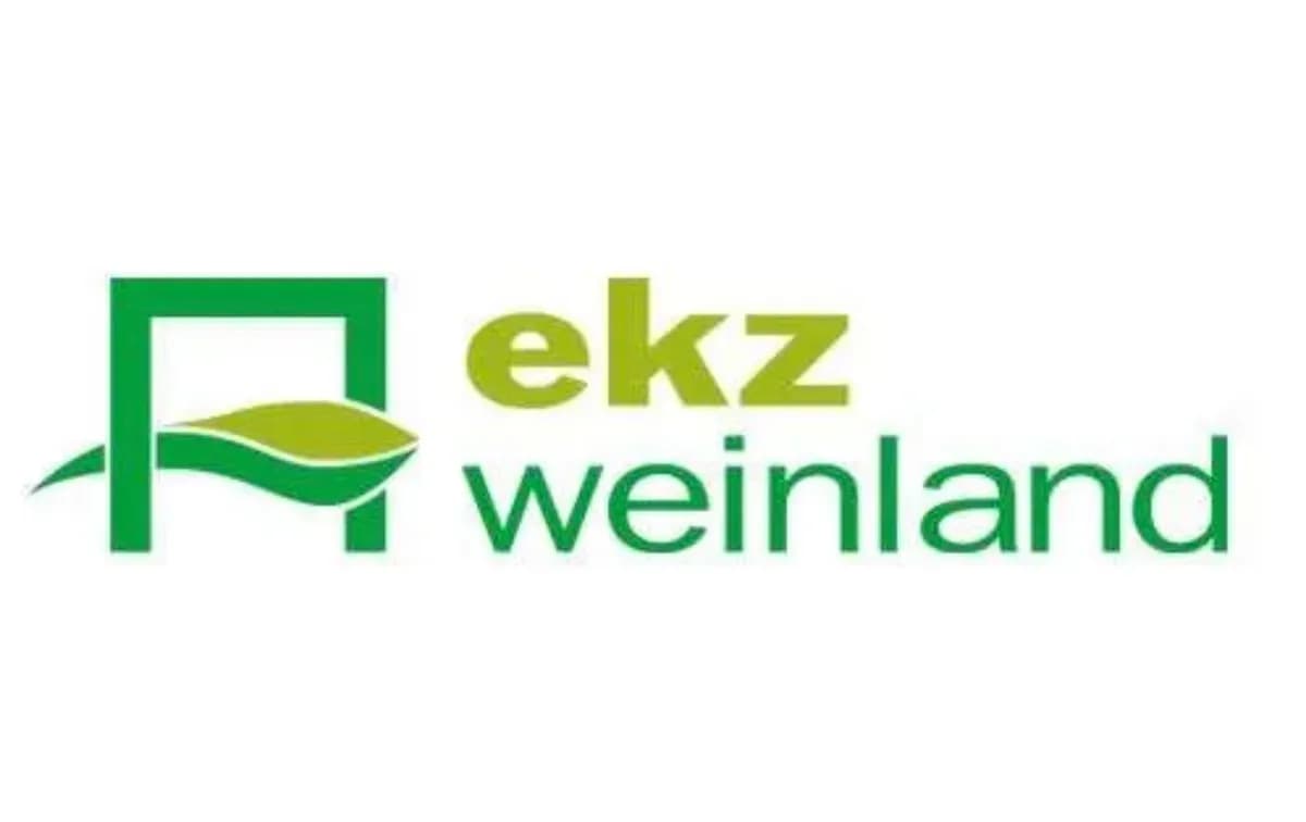 Gewerbeimmobilie mieten in Leibnitz – 60 m², € 2.150 – Bild 5 von 5