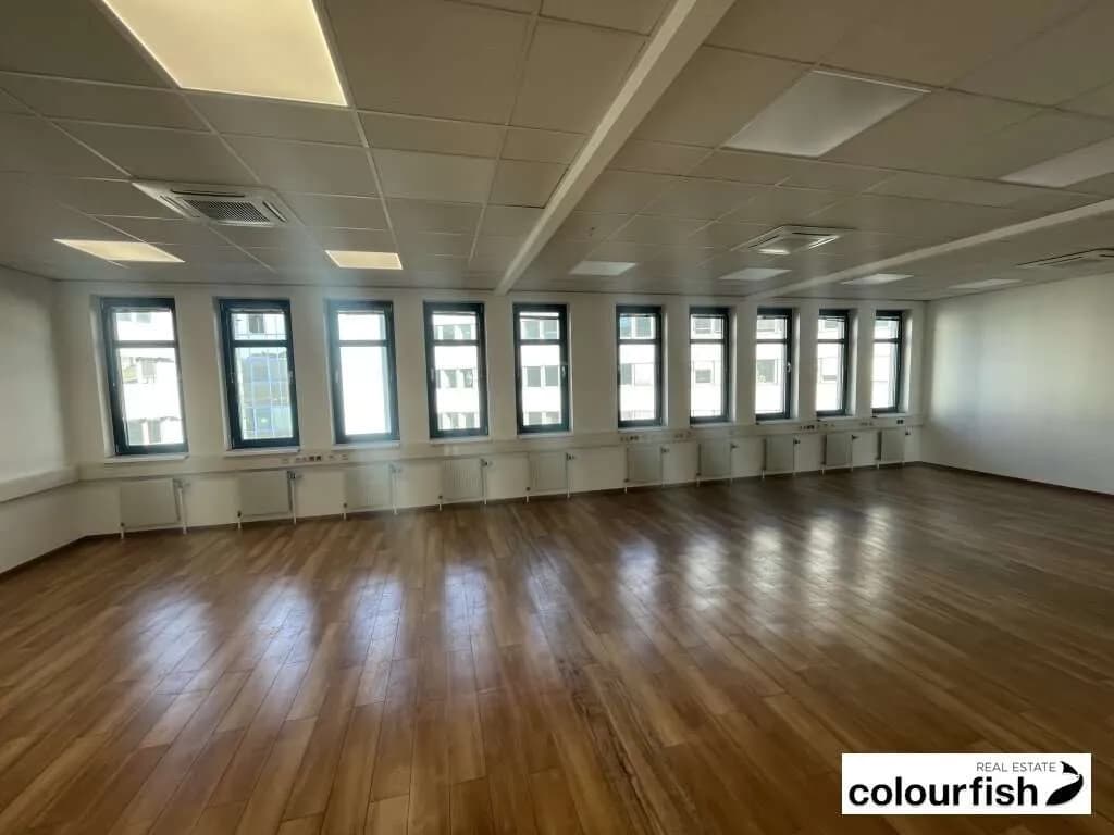 Gewerbeimmobilie mieten in Wien – 607 m², € 8.740 – Bild 5 von 12