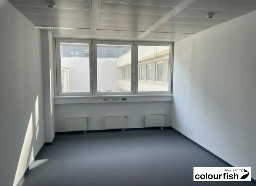Gewerbeimmobilie mieten in Wien – 495 m², € 7.999 – Bild 2 von 6