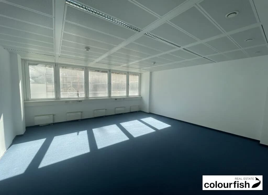 Gewerbeimmobilie mieten in Wien – 495 m², € 7.999 – Bild 3 von 6
