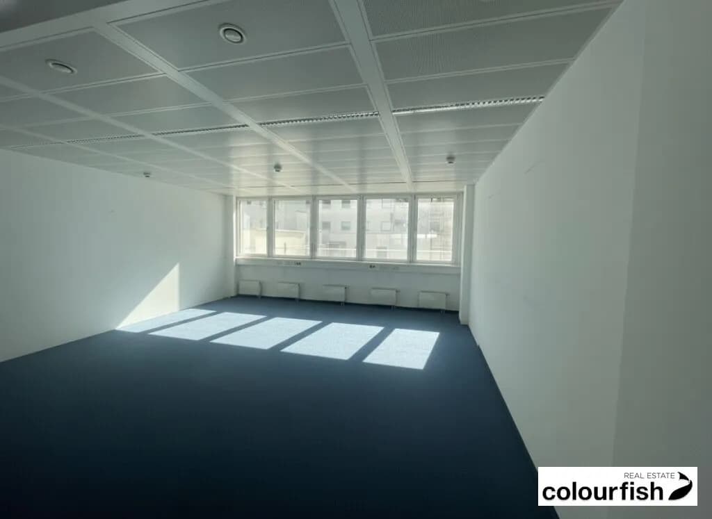 Gewerbeimmobilie mieten in Wien – 495 m², € 7.999 – Bild 4 von 6
