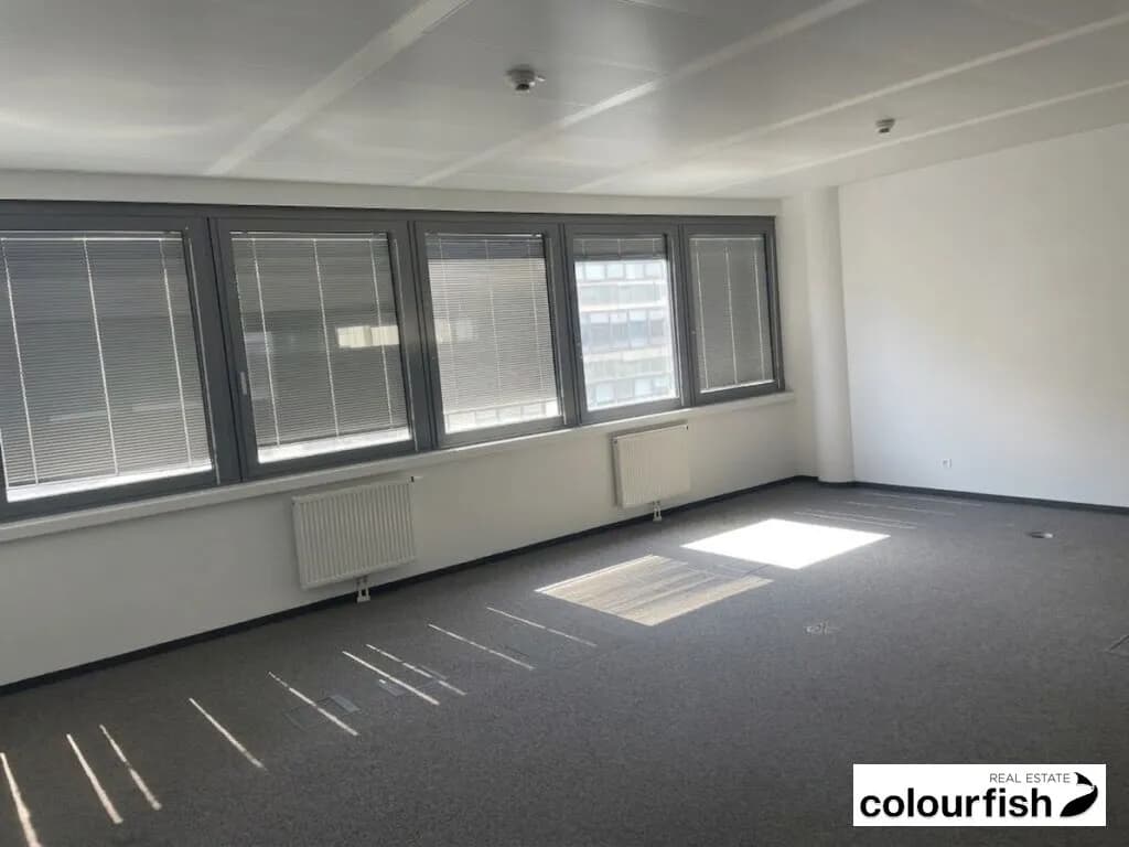 Gewerbeimmobilie mieten in Wien – 465 m², € 8.806 – Bild 3 von 5
