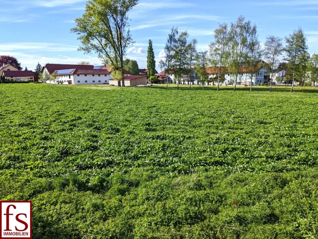 Grundstück kaufen in Grieskirchen – 1 019 m², € 74.000