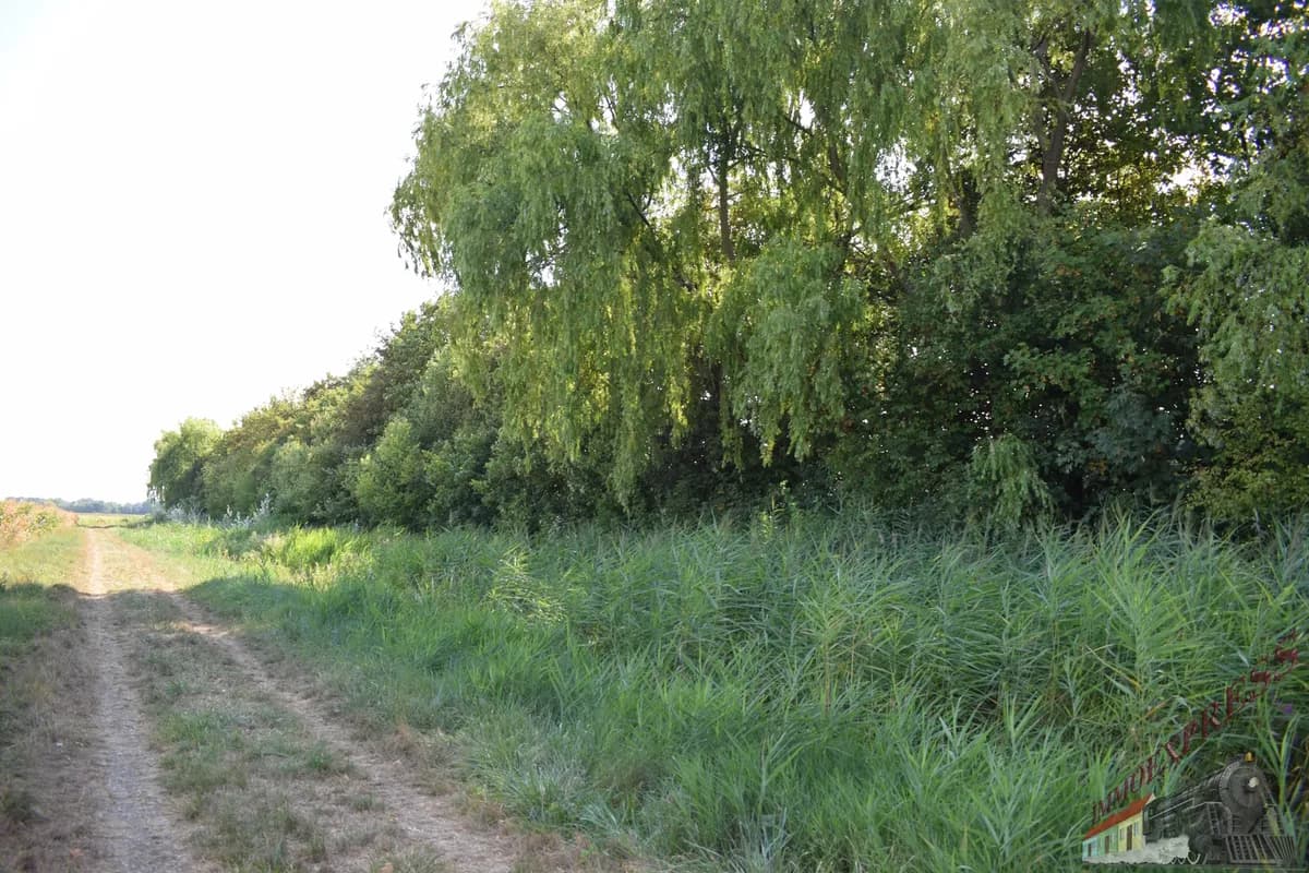 Grundstück kaufen in Bruck an der Leitha – 1 307 m², € 399.000 – Bild 3 von 5