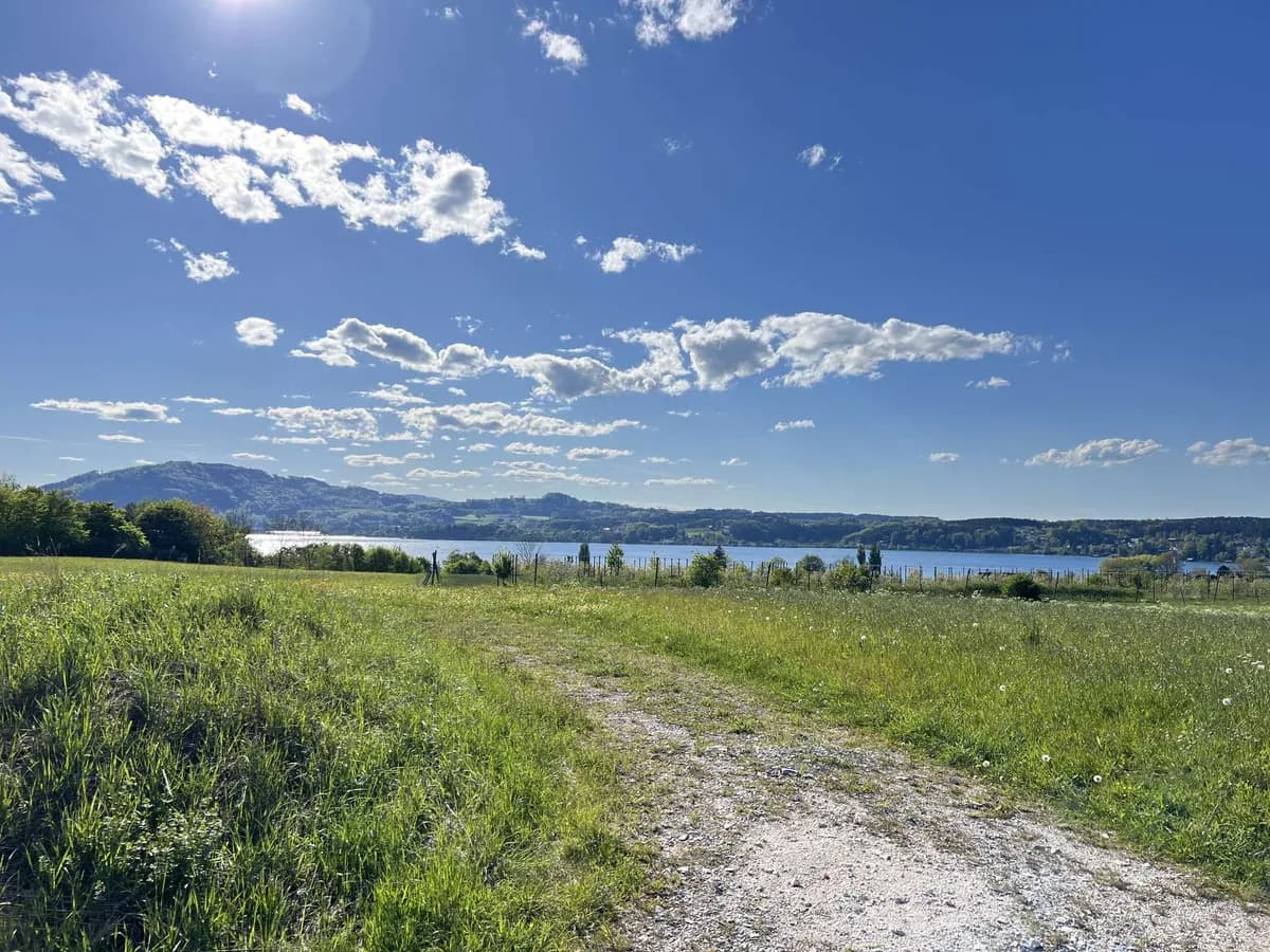 Wohnung kaufen in Vöcklabruck – 559 m², € 569.000 – Bild 6 von 9