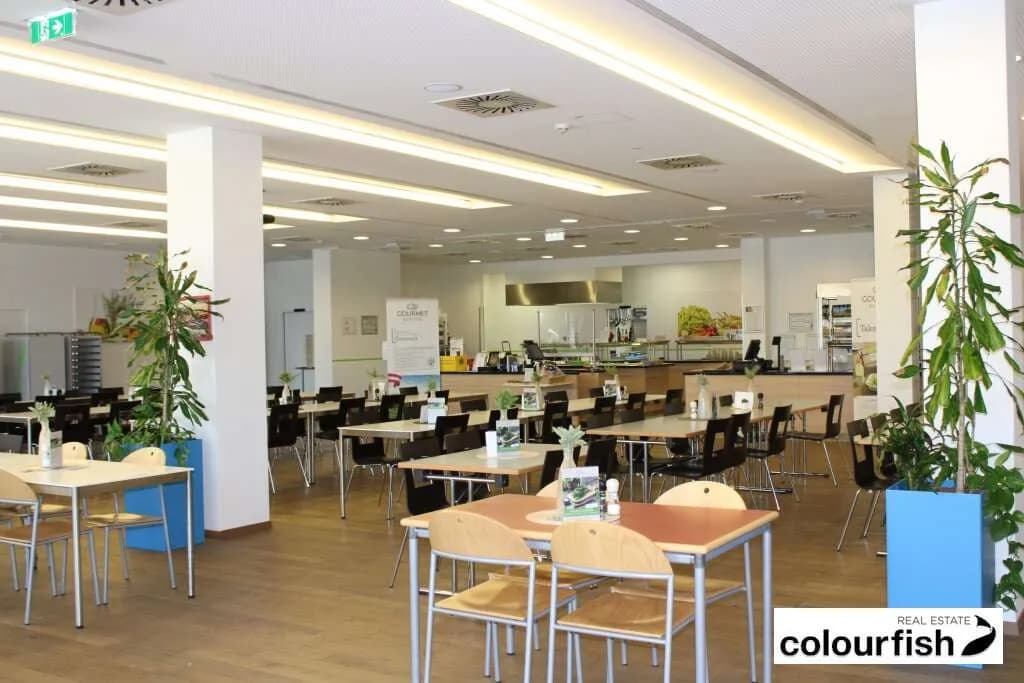 Gewerbeimmobilie mieten in Wien – 469 m², € 8.208 – Bild 5 von 7