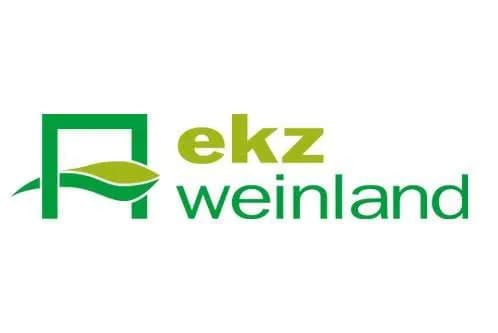 Gewerbeimmobilie mieten in Leibnitz – 94 m², € 2.500 – Bild 9 von 9