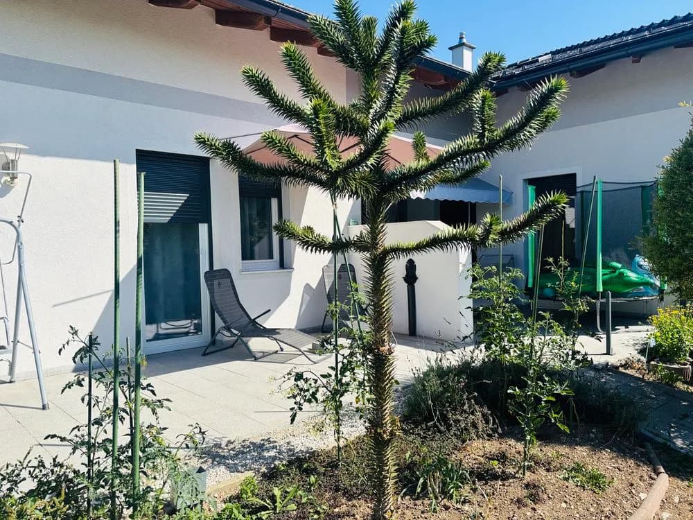 Haus kaufen in Braunau am Inn – 200 m², € 660.000 – Bild 2 von 17