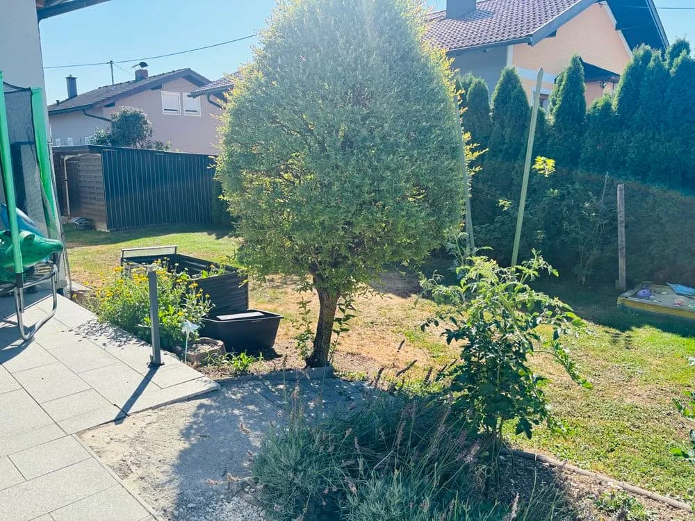 Haus kaufen in Braunau am Inn – 200 m², € 660.000 – Bild 5 von 17