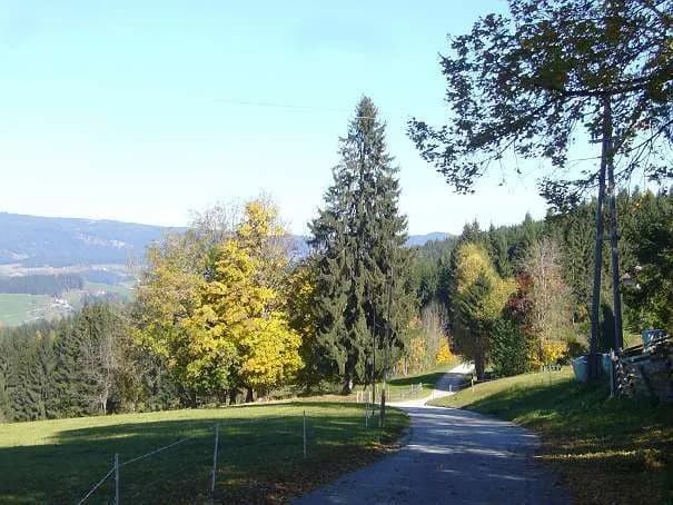 3-Zimmer-Wohnung mieten in Wolfsberg – 82 m², € 536 – Bild 4 von 30