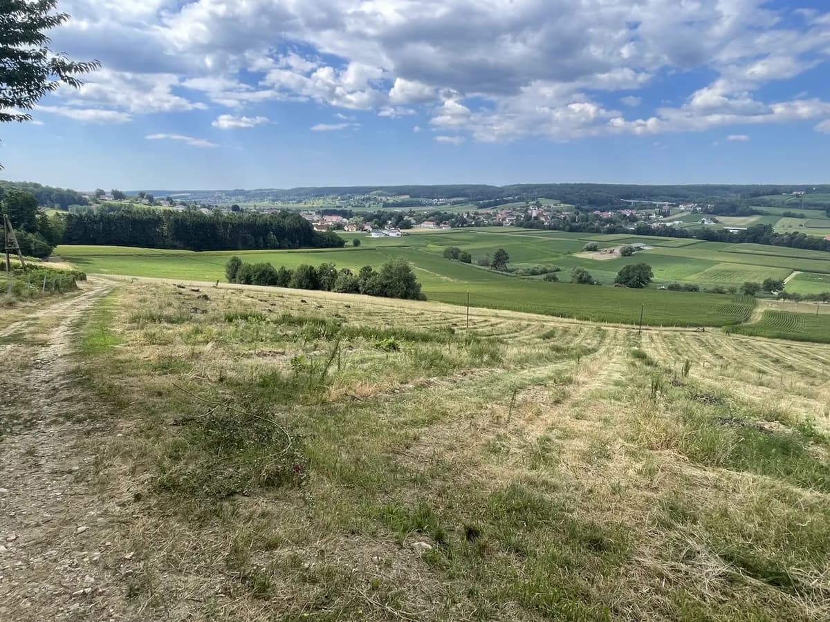 Grundstück kaufen in Hartberg-Fürstenfeld – 101 622 m², € 698.000