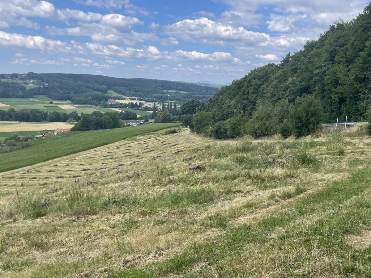 Grundstück kaufen in Hartberg-Fürstenfeld – 101 622 m², € 698.000 – Bild 2 von 17