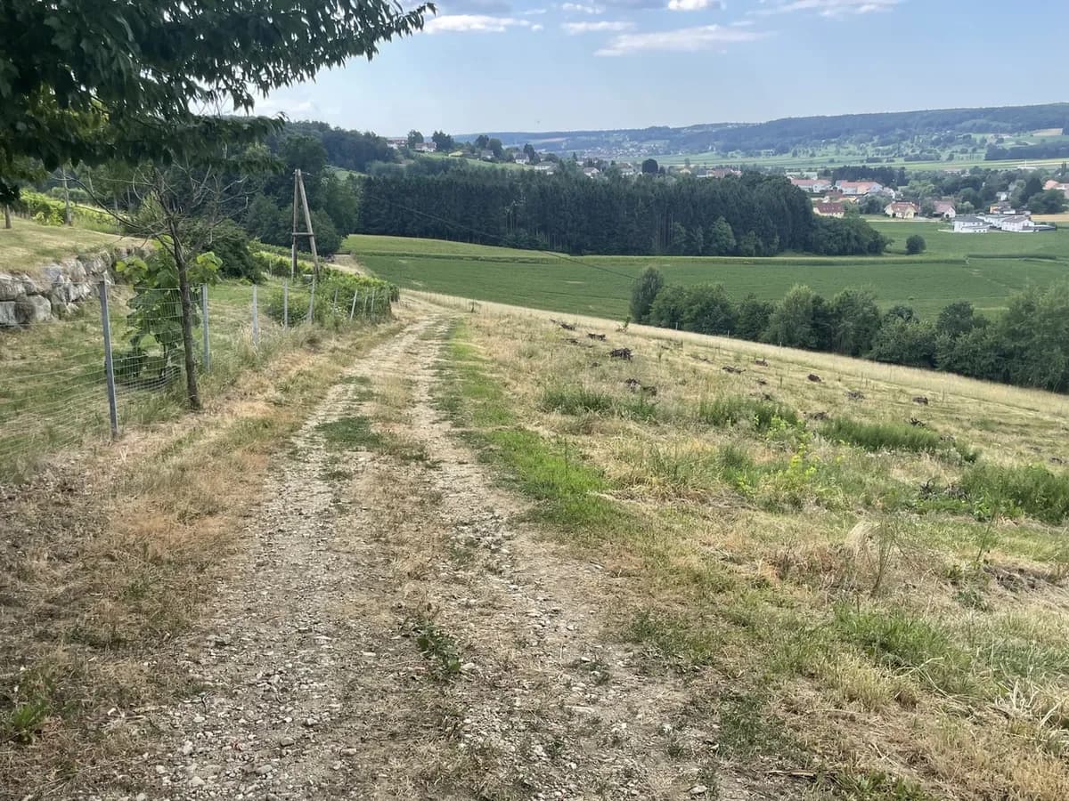 Grundstück kaufen in Hartberg-Fürstenfeld – 101 622 m², € 698.000 – Bild 3 von 17