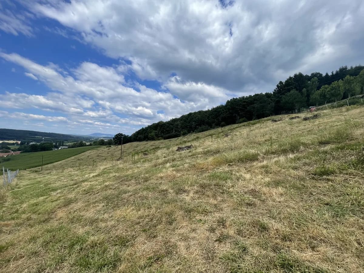 Grundstück kaufen in Hartberg-Fürstenfeld – 101 622 m², € 698.000 – Bild 4 von 17