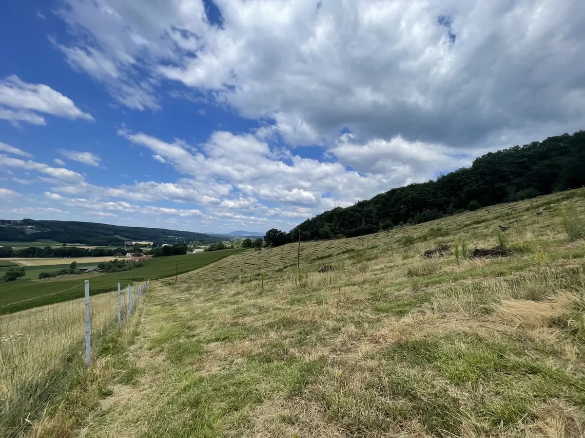 Grundstück kaufen in Hartberg-Fürstenfeld – 101 622 m², € 698.000 – Bild 5 von 17