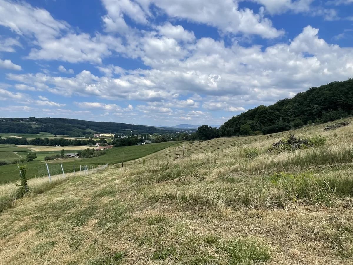 Grundstück kaufen in Hartberg-Fürstenfeld – 101 622 m², € 698.000 – Bild 7 von 17