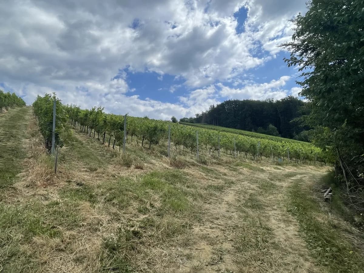 Grundstück kaufen in Hartberg-Fürstenfeld – 101 622 m², € 698.000 – Bild 9 von 17