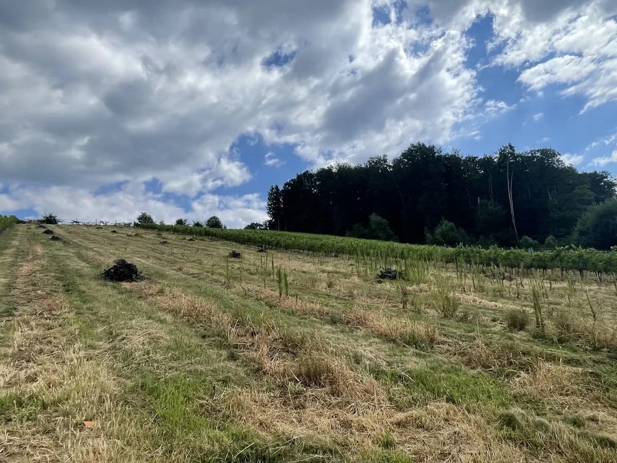 Grundstück kaufen in Hartberg-Fürstenfeld – 101 622 m², € 698.000 – Bild 10 von 17