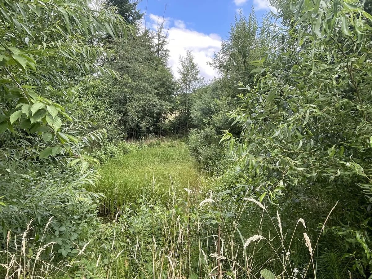 Grundstück kaufen in Hartberg-Fürstenfeld – 101 622 m², € 698.000 – Bild 13 von 17
