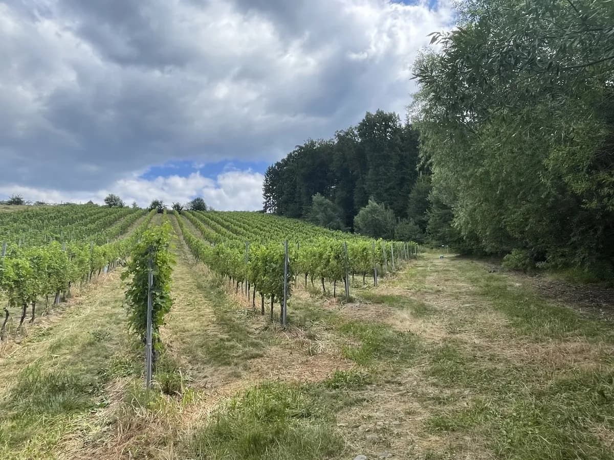 Grundstück kaufen in Hartberg-Fürstenfeld – 101 622 m², € 698.000 – Bild 14 von 17