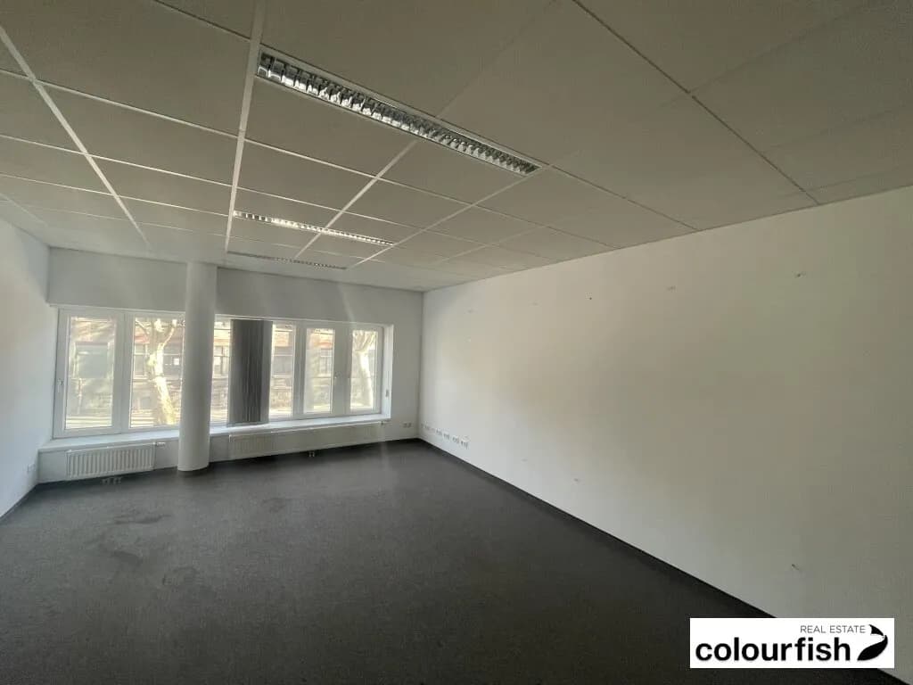 Gewerbeimmobilie mieten in Wien – 795 m², € 7.165 – Bild 8 von 12