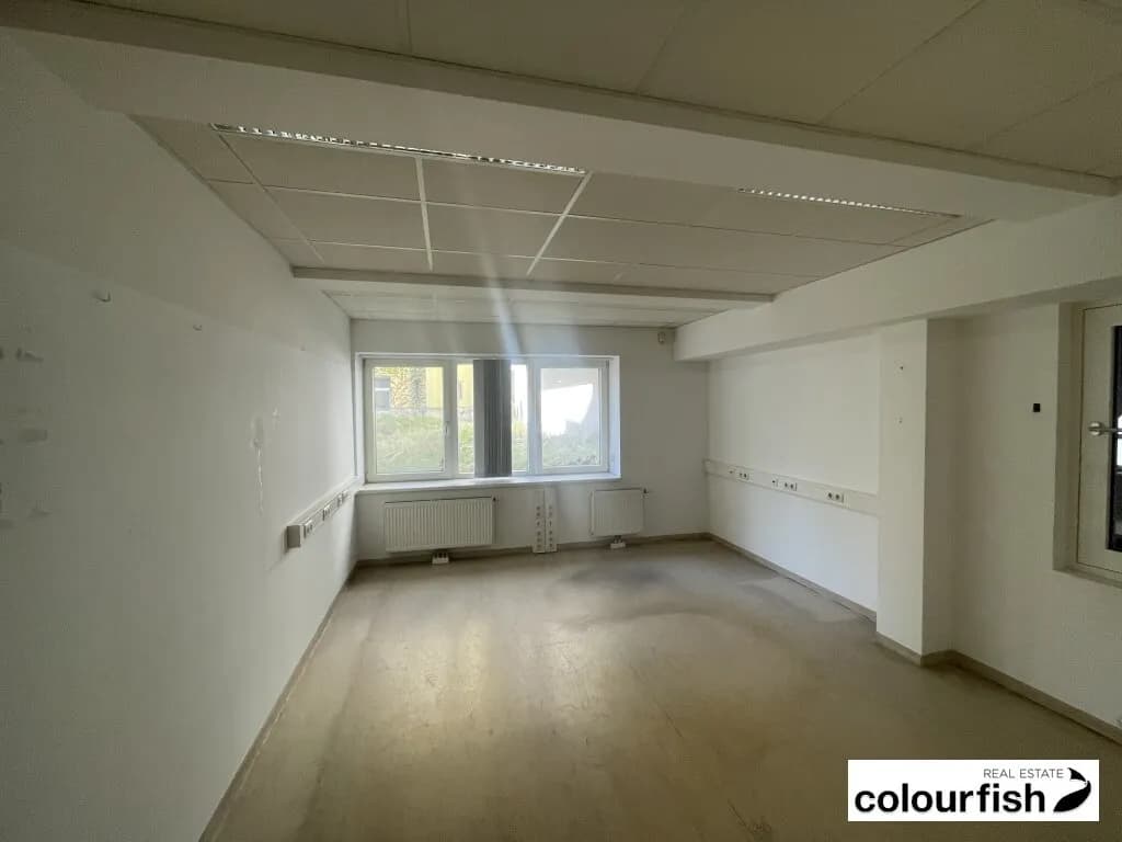 Gewerbeimmobilie mieten in Wien – 795 m², € 7.165 – Bild 10 von 12