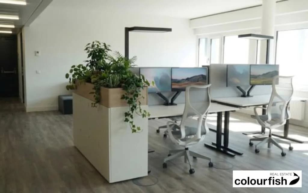 Gewerbeimmobilie mieten in Wien – 1 481 m², € 43.245 – Bild 3 von 7