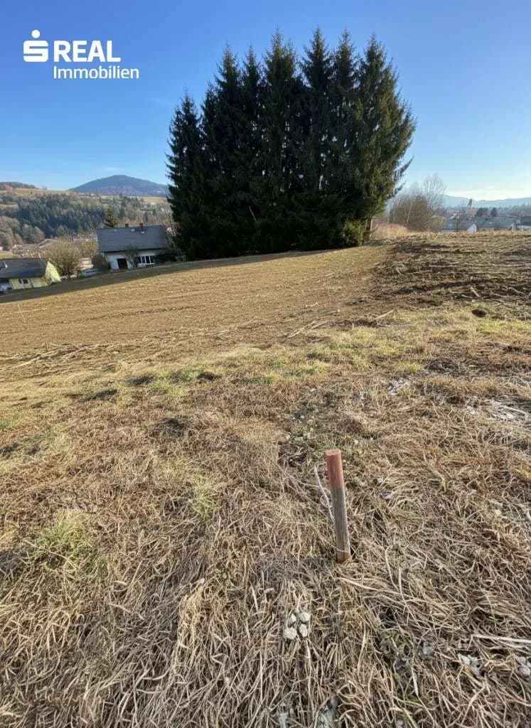 Grundstück kaufen in Bruck-Mürzzuschlag – 3 301 m², € 280.585 – Bild 5 von 16