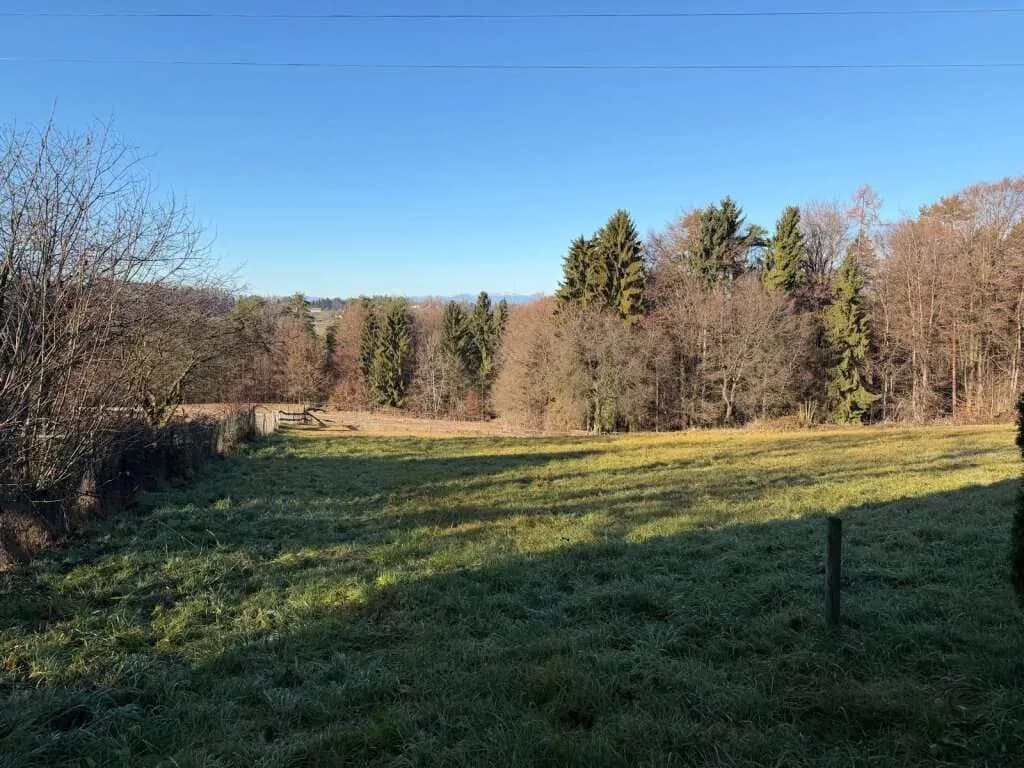 Grundstück kaufen in Graz-Umgebung – 1 115 m², € 199.000 – Bild 6 von 7