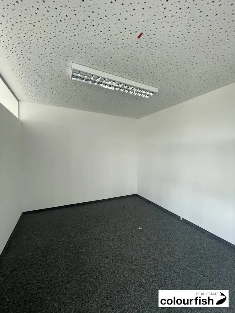 Gewerbeimmobilie mieten in Wien – 218 m², € 4.170 – Bild 5 von 11