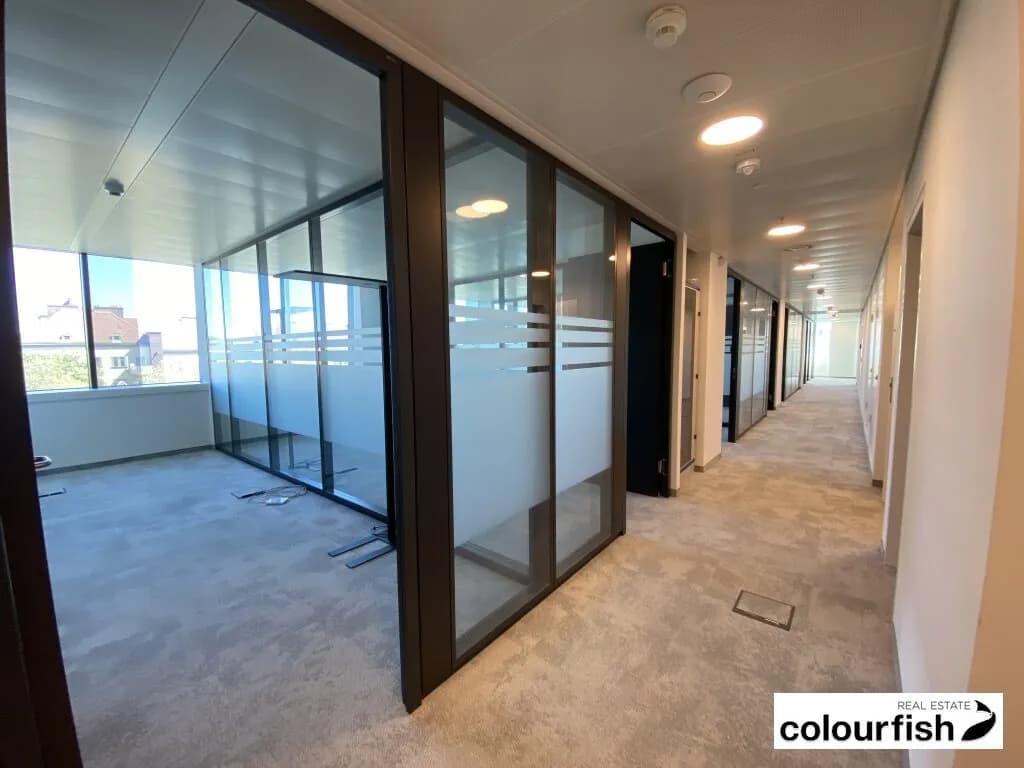 Gewerbeimmobilie mieten in Wien – 200 m², € 4.280 – Bild 5 von 11