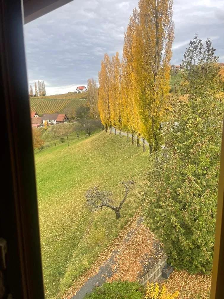 2-Zimmer-Wohnung mieten in Leibnitz – 60 m², € 560