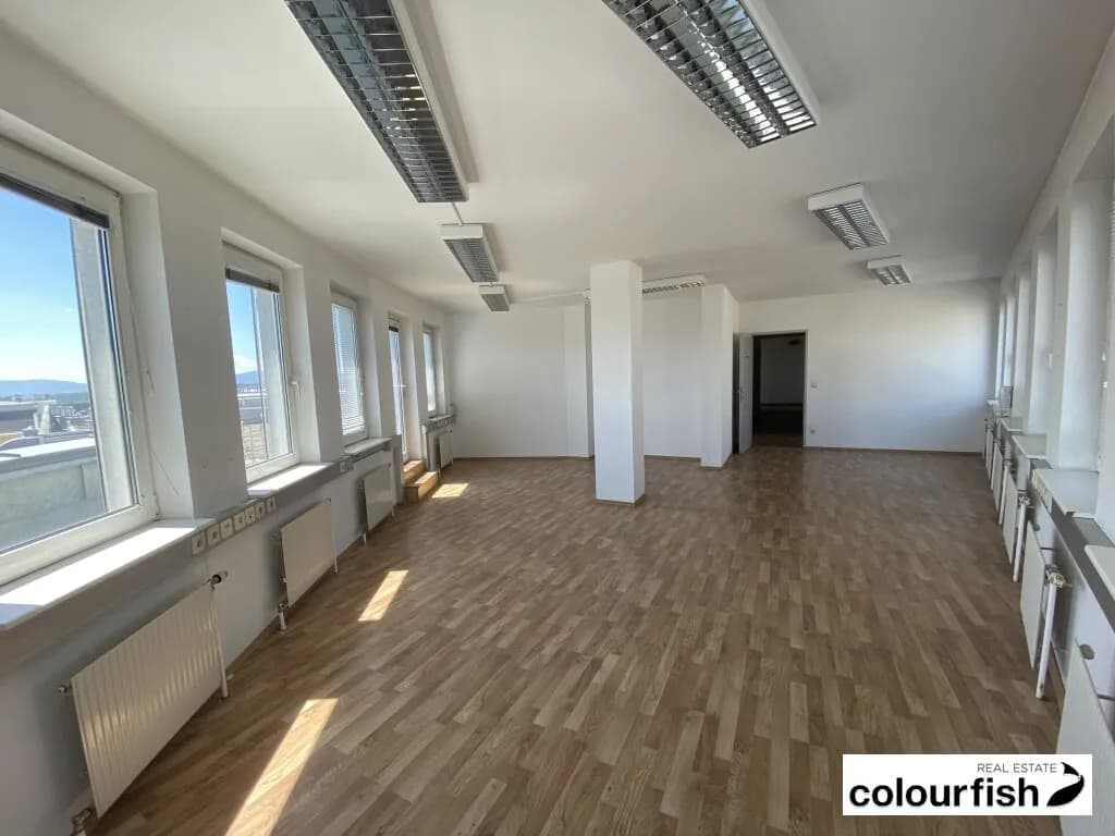 Gewerbeimmobilie mieten in Wien – 190 m², € 2.606 – Bild 3 von 14