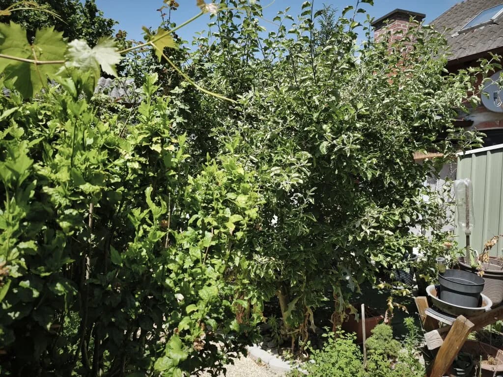 6-Zimmer-Haus kaufen in Korneuburg – 200 m², € 295.000 – Bild 7 von 21