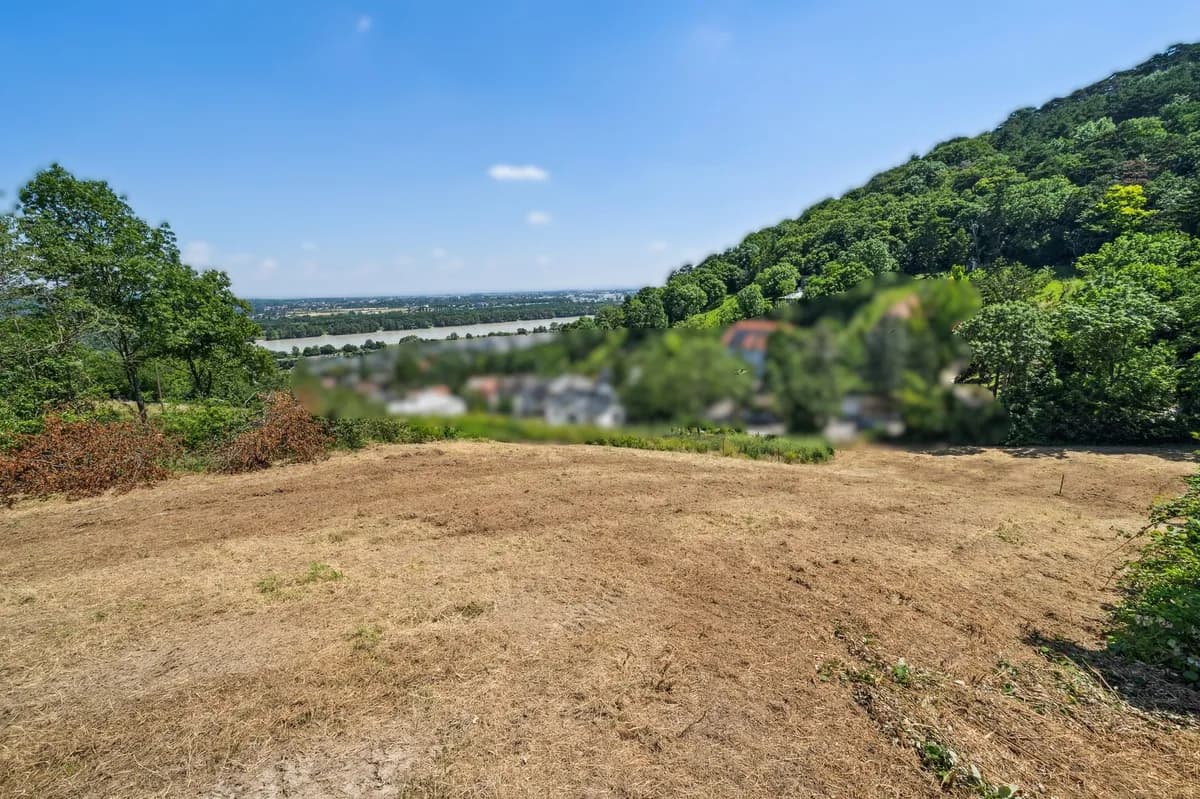 Grundstück kaufen in Tulln – 1 770 m², € 749.000 – Bild 3 von 6