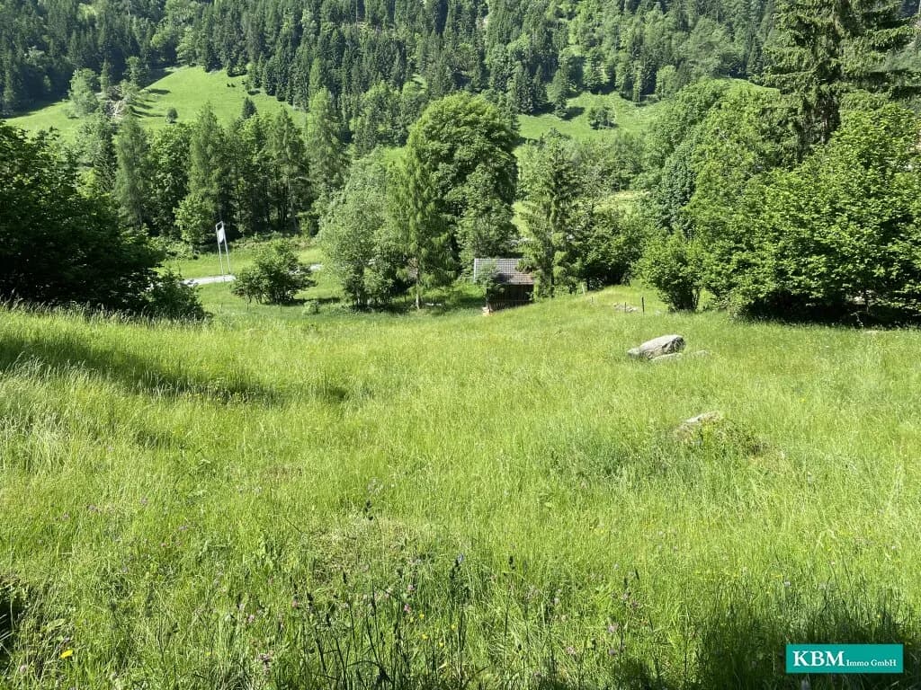 Immobilie kaufen in Spittal an der Drau – 3 121 m², € 250.000 – Bild 1 von 6