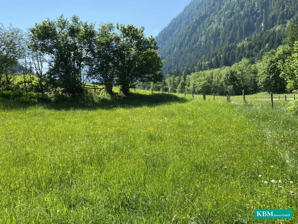 Immobilie kaufen in Spittal an der Drau – 3 121 m², € 250.000 – Bild 2 von 6