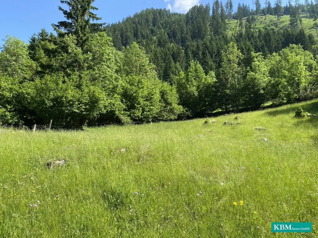 Immobilie kaufen in Spittal an der Drau – 3 121 m², € 250.000 – Bild 4 von 6