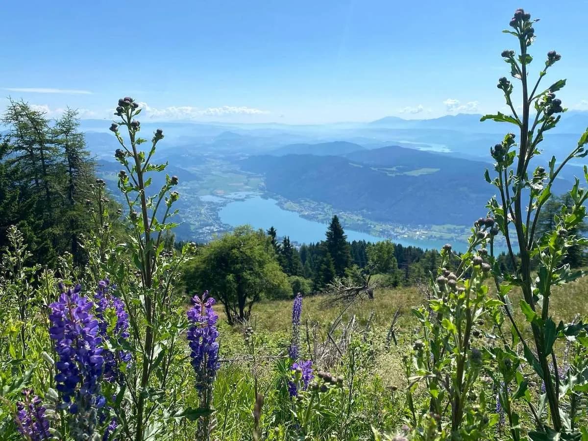 5-Zimmer-Haus kaufen in Villach Land – 140 m² – Bild 33 von 35