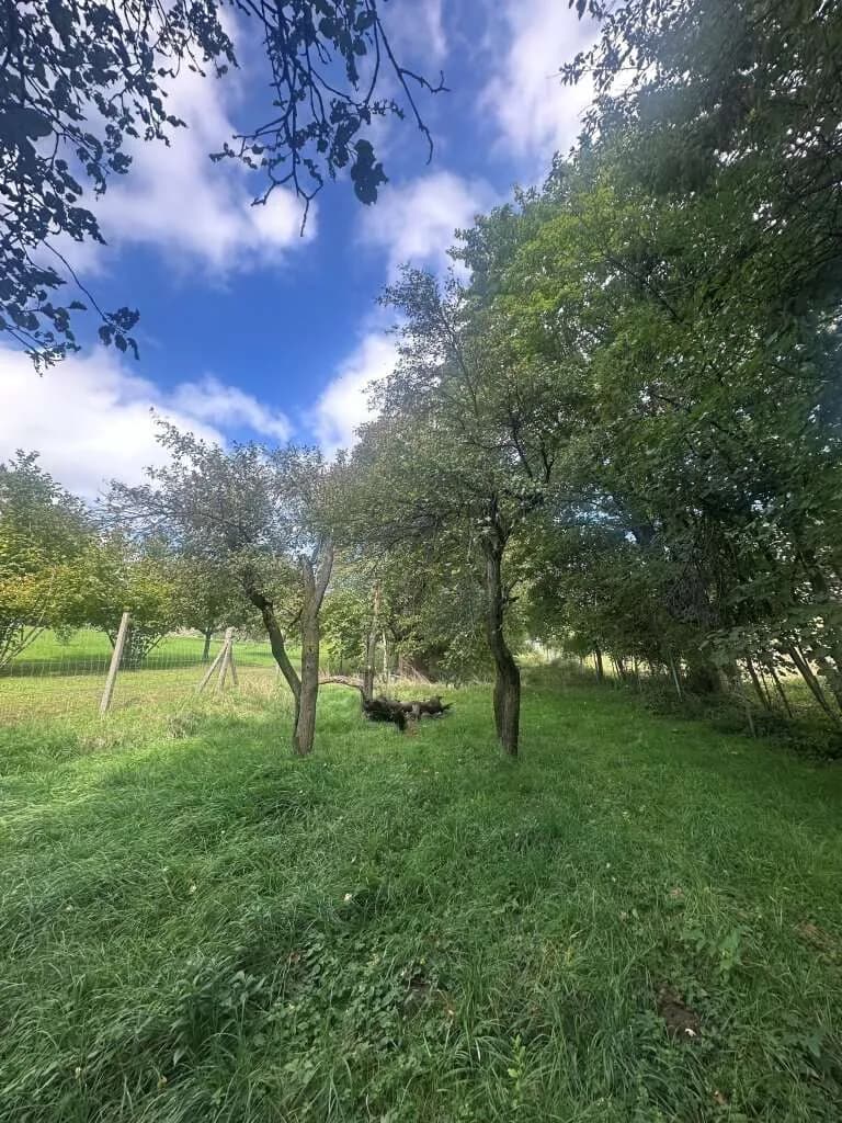 Grundstück kaufen in Korneuburg – 2 500 m², € 810.000 – Bild 2 von 9