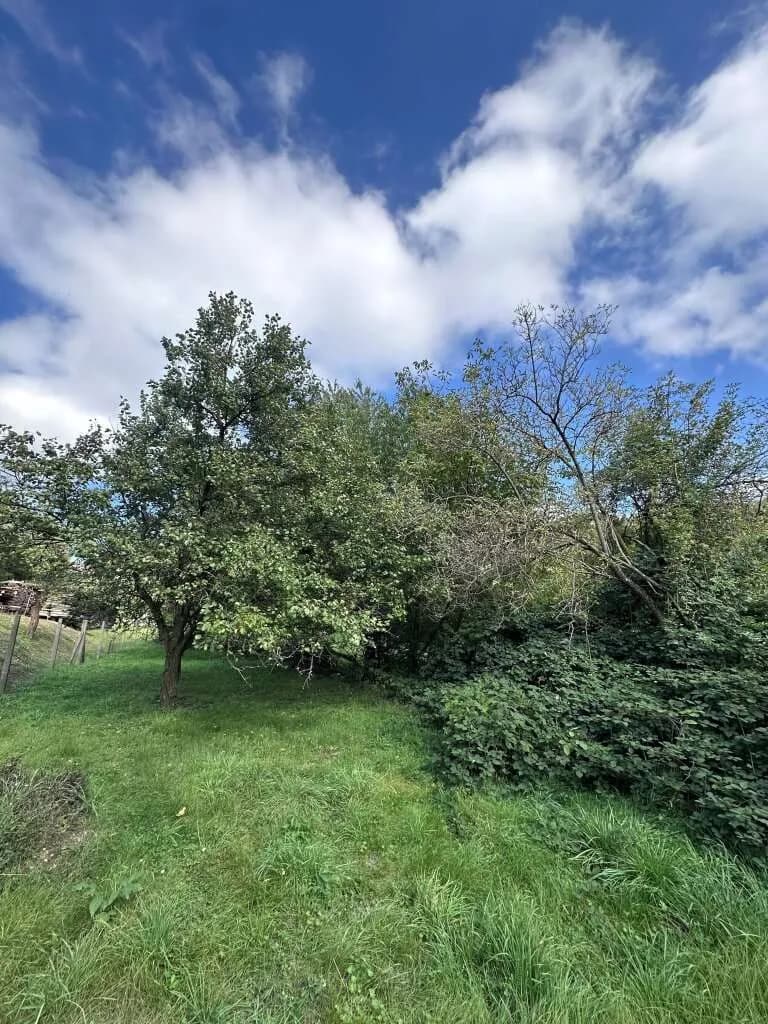 Grundstück kaufen in Korneuburg – 2 500 m², € 810.000 – Bild 3 von 9