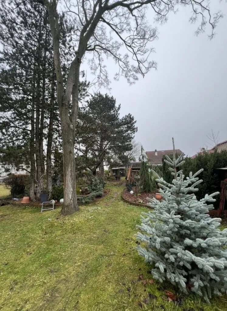 Grundstück kaufen in Gänserndorf – 1 216 m², € 278.000 – Bild 5 von 10
